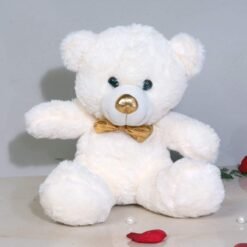 Teddybear for Sweetheart