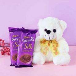 TeddyBear with Chocolates