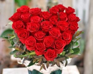 Flower Delivery In Vadodara 8